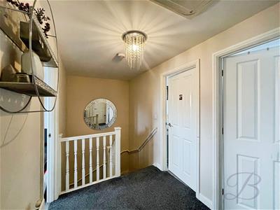 Picture 20